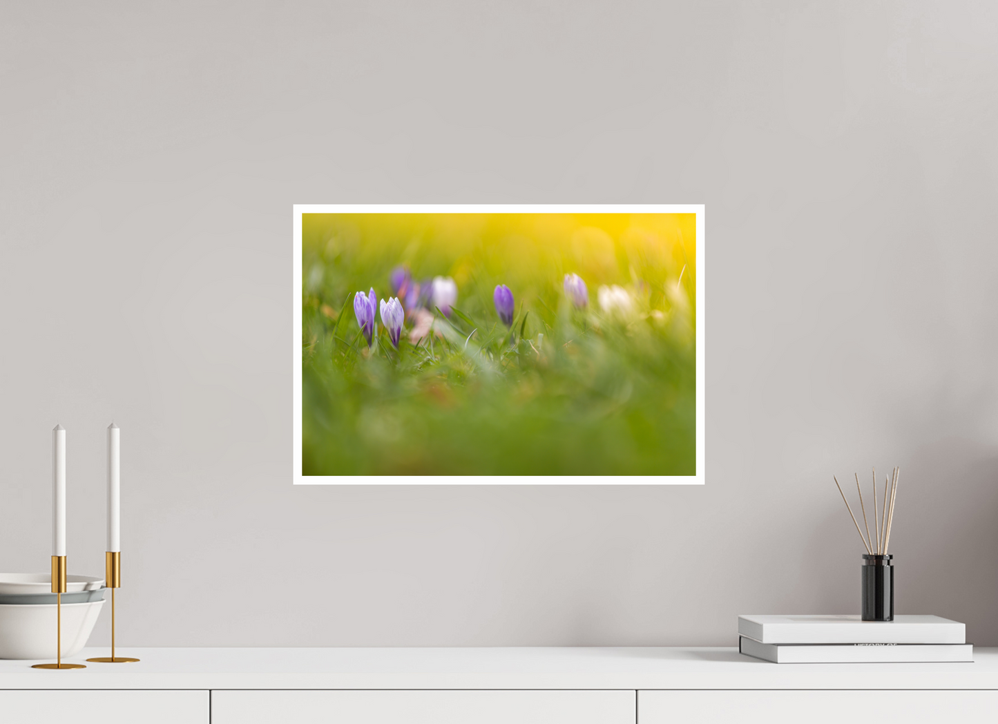 Le crocus