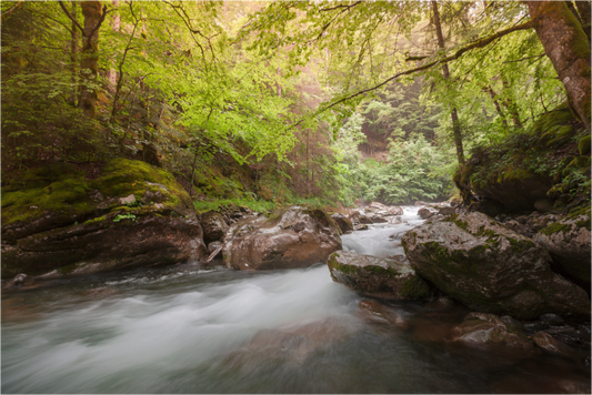 Le vallon de Bellevaux